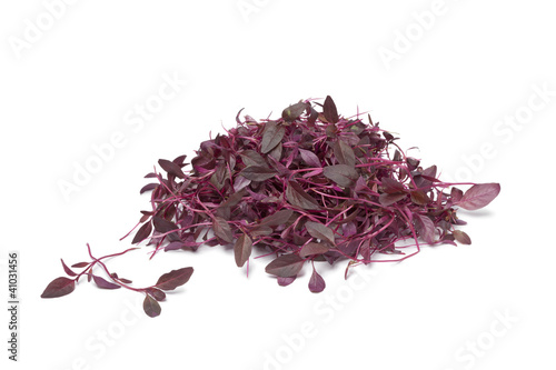 Obraz na płótnie Red Amaranth sprouts