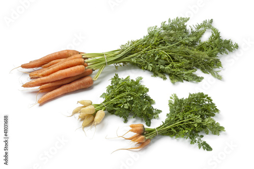 Fresh large and mini carrots photo