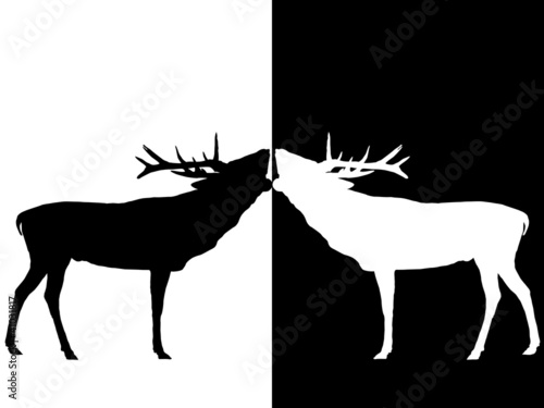 Röhrender Hirsch - black&white
