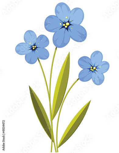 Summer blue flowers