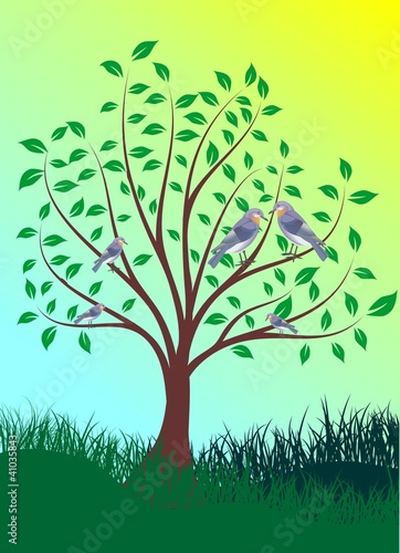 green tree in the spring with birds for your design