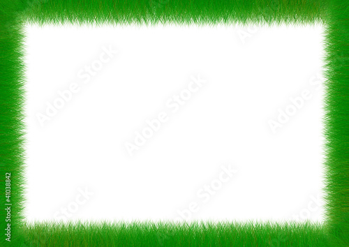 Fresh green grass photo frame isolated on white background