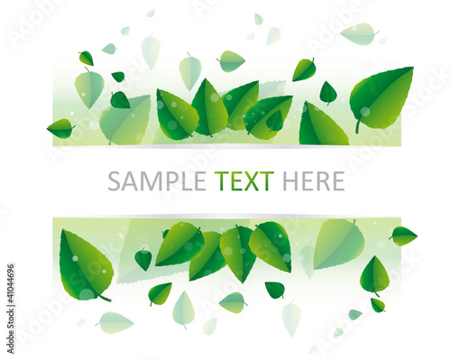 frame with fresh green leaves