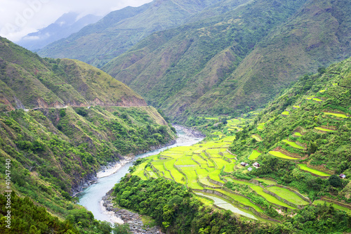 Rice terrace