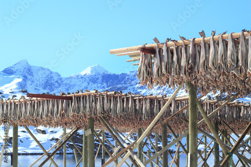 stockfish and  lofoten's mounts