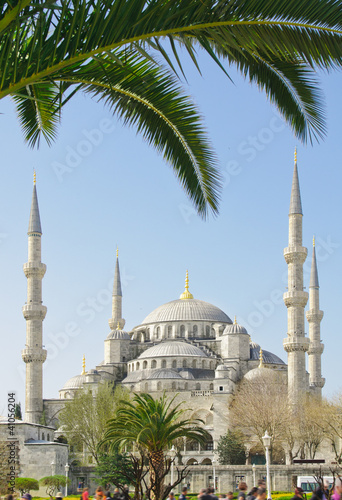 Canvas Print The Blue Mosque in Istanbul, Turkey