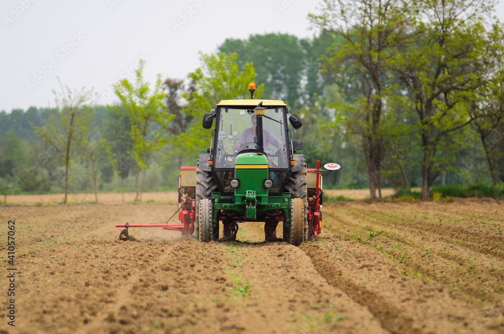 Obraz premium Agricoltura