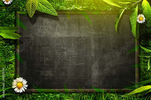 Nature Blackboard photo