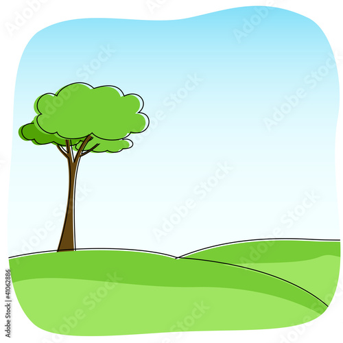 natura - collina con albero verde - green tree