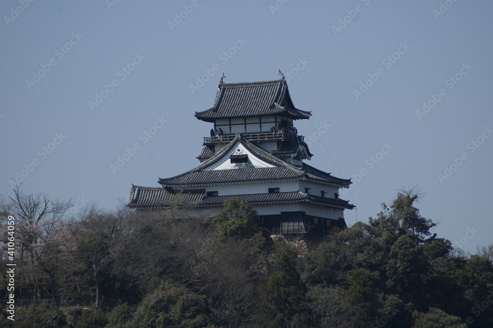 Naklejka premium Inuyama Castle, Japan