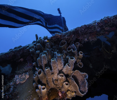 Coral below the US Flag on the USS Spiegel Grove photo