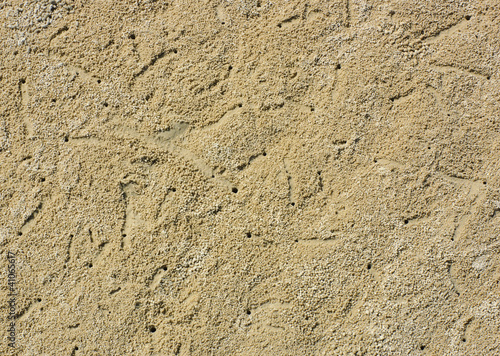 Background of beach crab markings