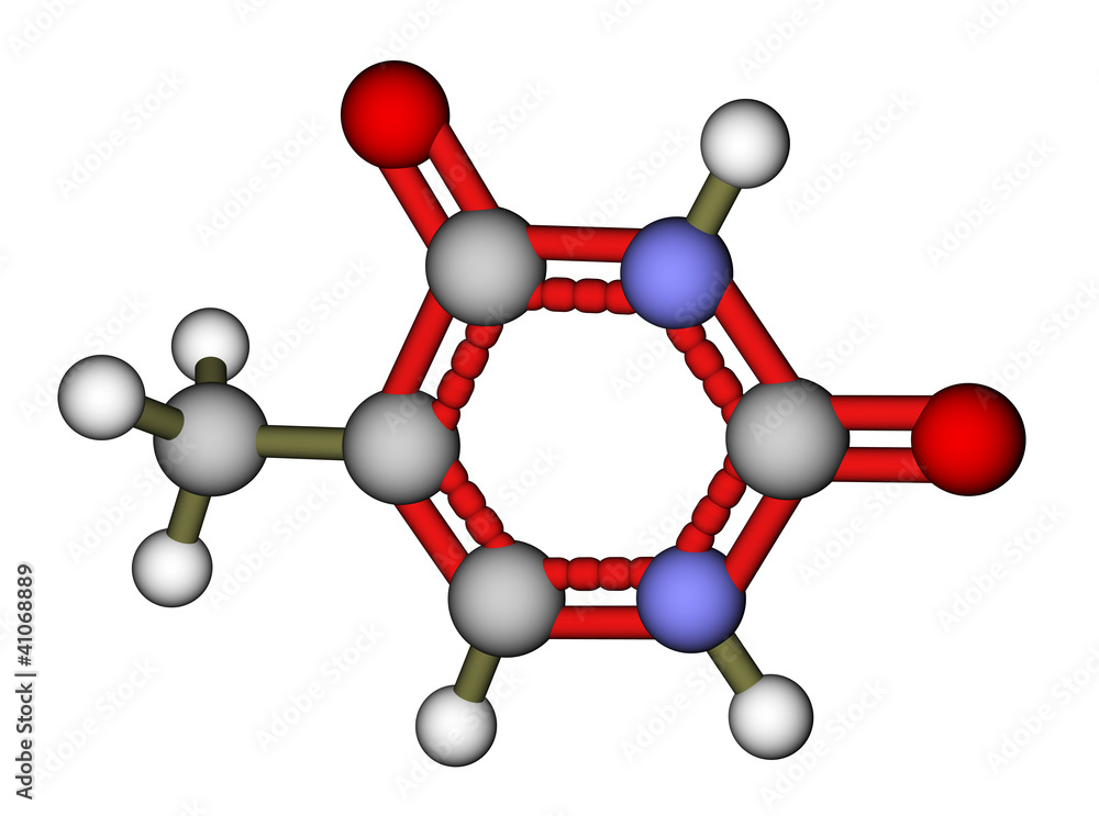 Nucleobase thymine balls and sticks molecular model Nucleobase thymine balls and sticks molecular model