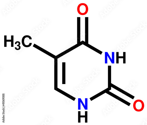 Nucleobase thymine structural formula