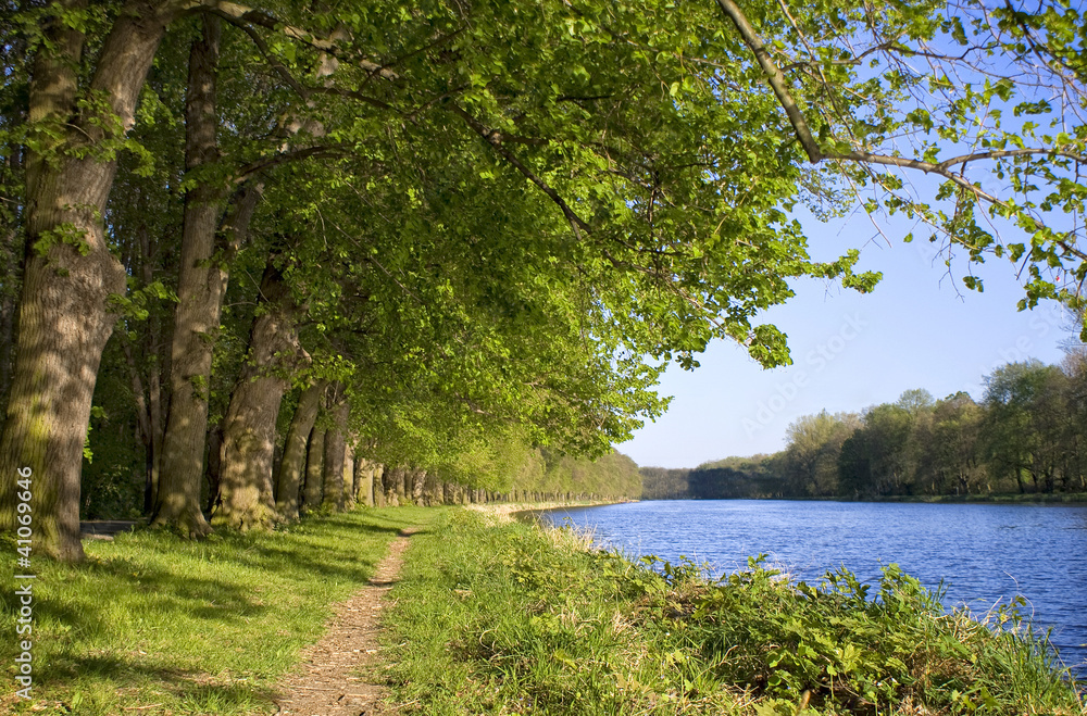 Oak trees by the river cost Oak trees by the river cost
