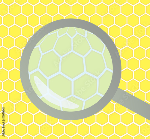 Honeycomb under magnifying glass vector background