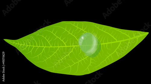 Green leaves background vector