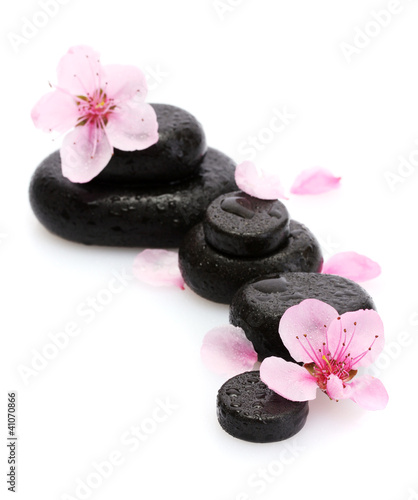 Spa stones with drops and pink sakura flowers isolated on white.