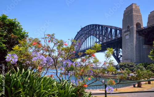 Sydney harbor bridge and foliage © Mary Durden
