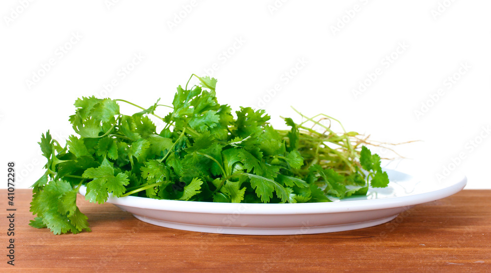 Coriander in a white plate on wooden Coriander in a white plate on wooden