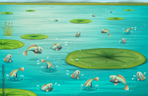 fishes