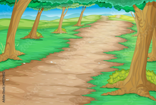 Forest path