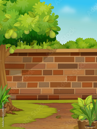 wall