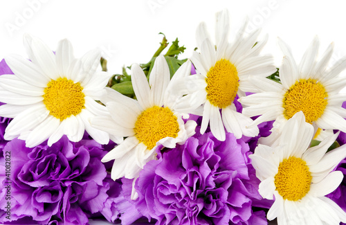   chamomiles and  purple carnation