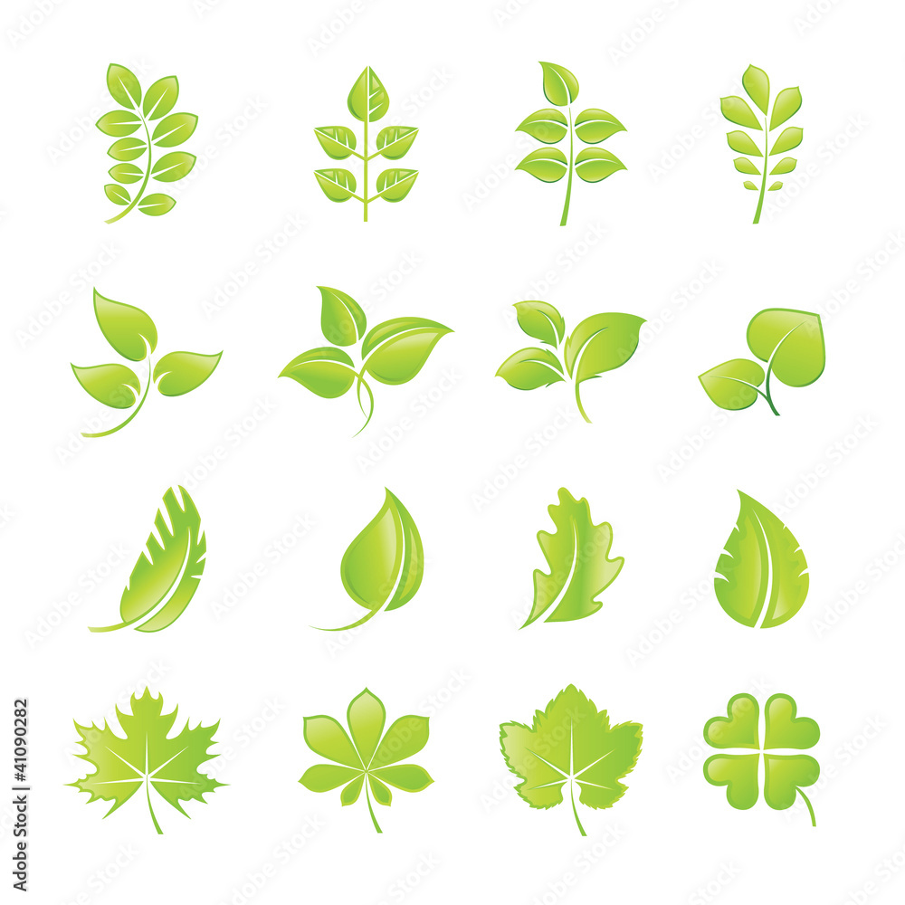 Set of green leaf icons - obrazy, fototapety, plakaty 