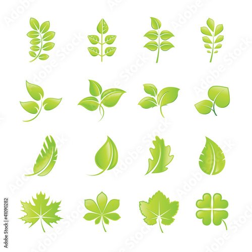 Set of green leaf icons