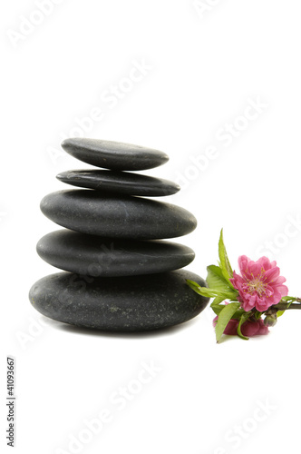 stacked black stones and flower petals