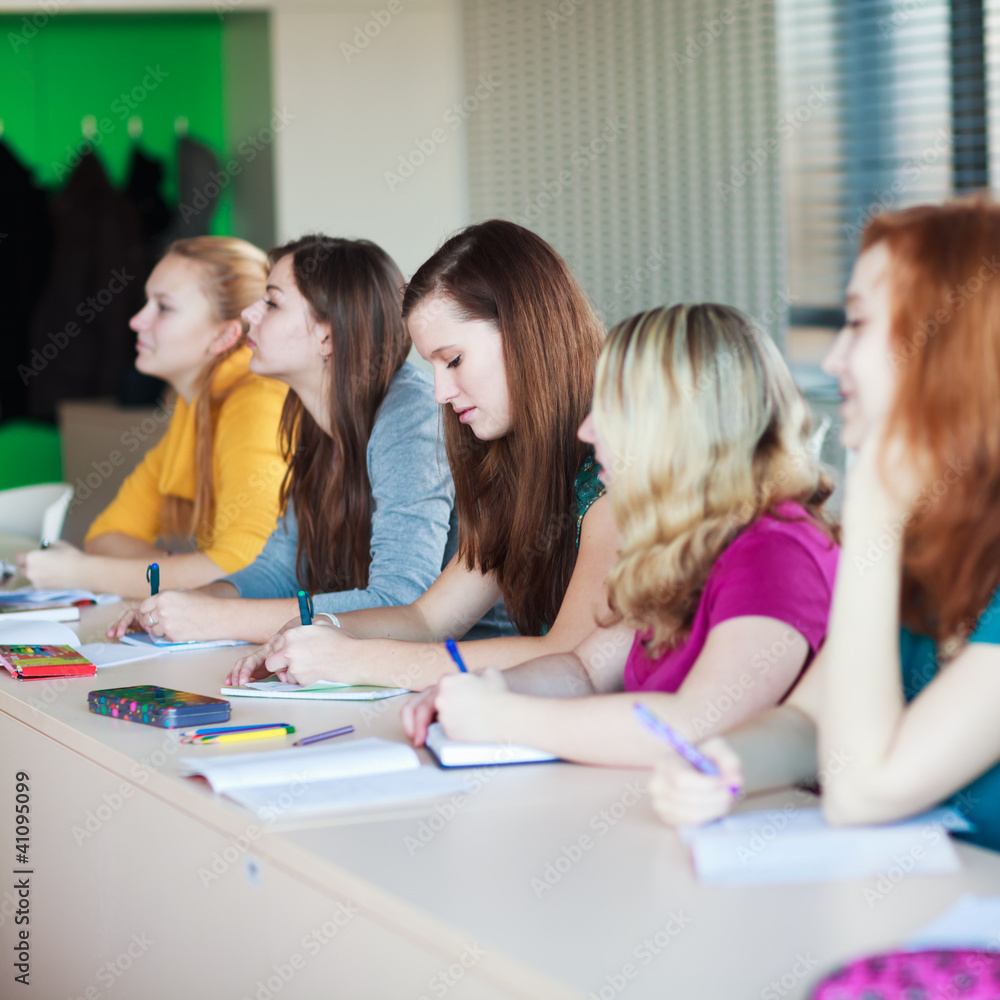 Fototapeta premium Students in class (color toned image)