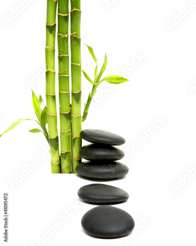 young green bamboo and pile black stones