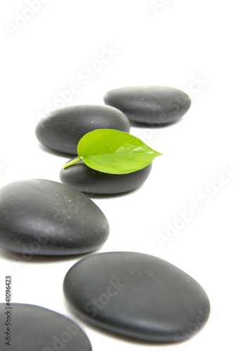 row zen stones and bamboo leaf