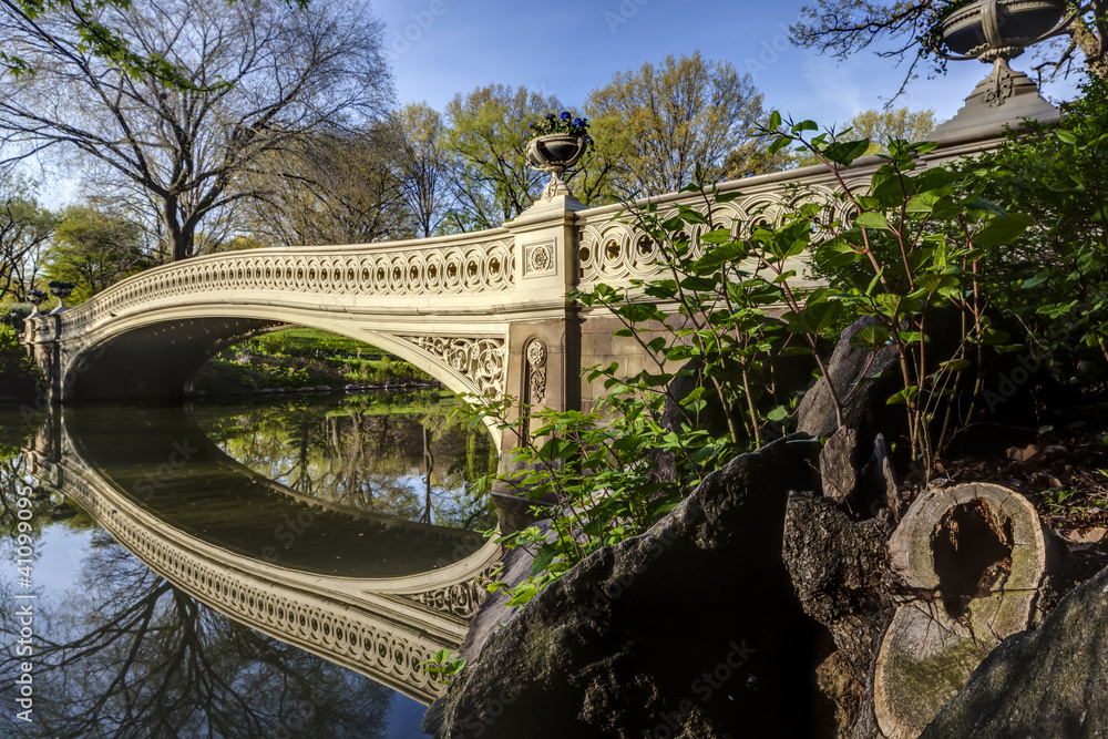 Naklejka premium Bow bridge in spring Central Park