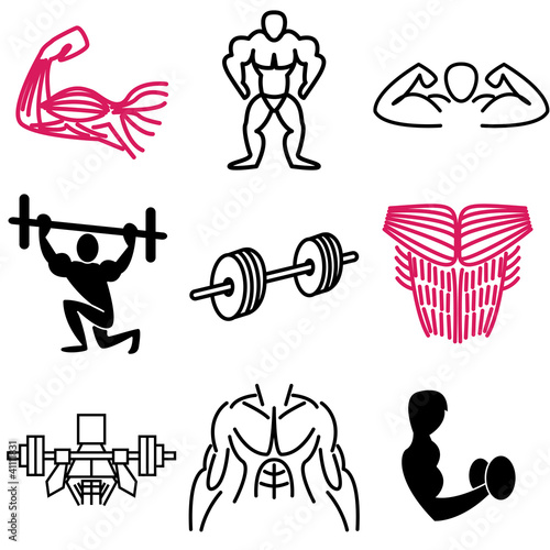muscle icons vector set