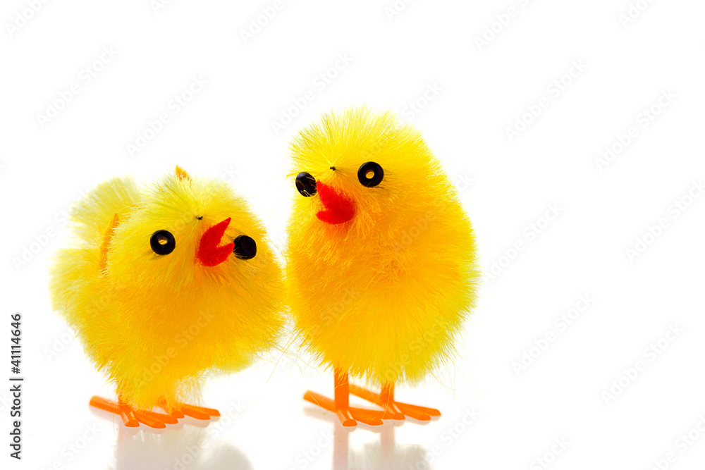 Two easter chicks on white with reflection.