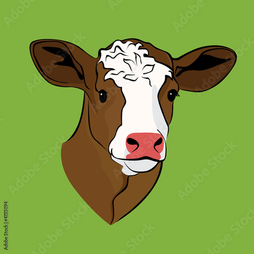 Calf head