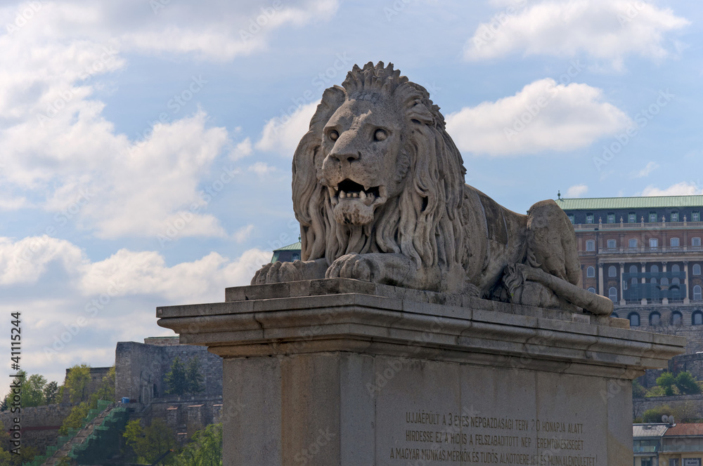 Lion on the Chain Bridge in Budapest Hungary