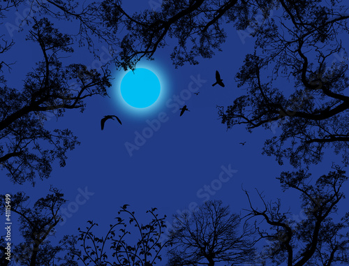 Branches of trees against the blue sky