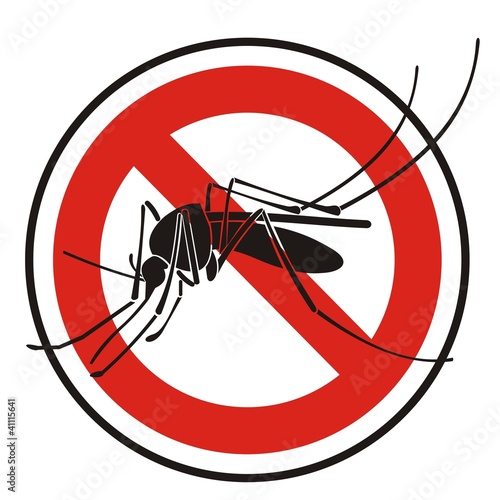 Mosquito_2
