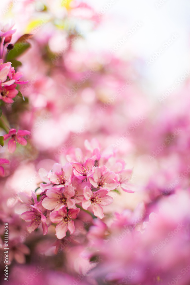 Frühling