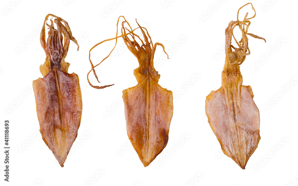 close up of dried squid isolated on white