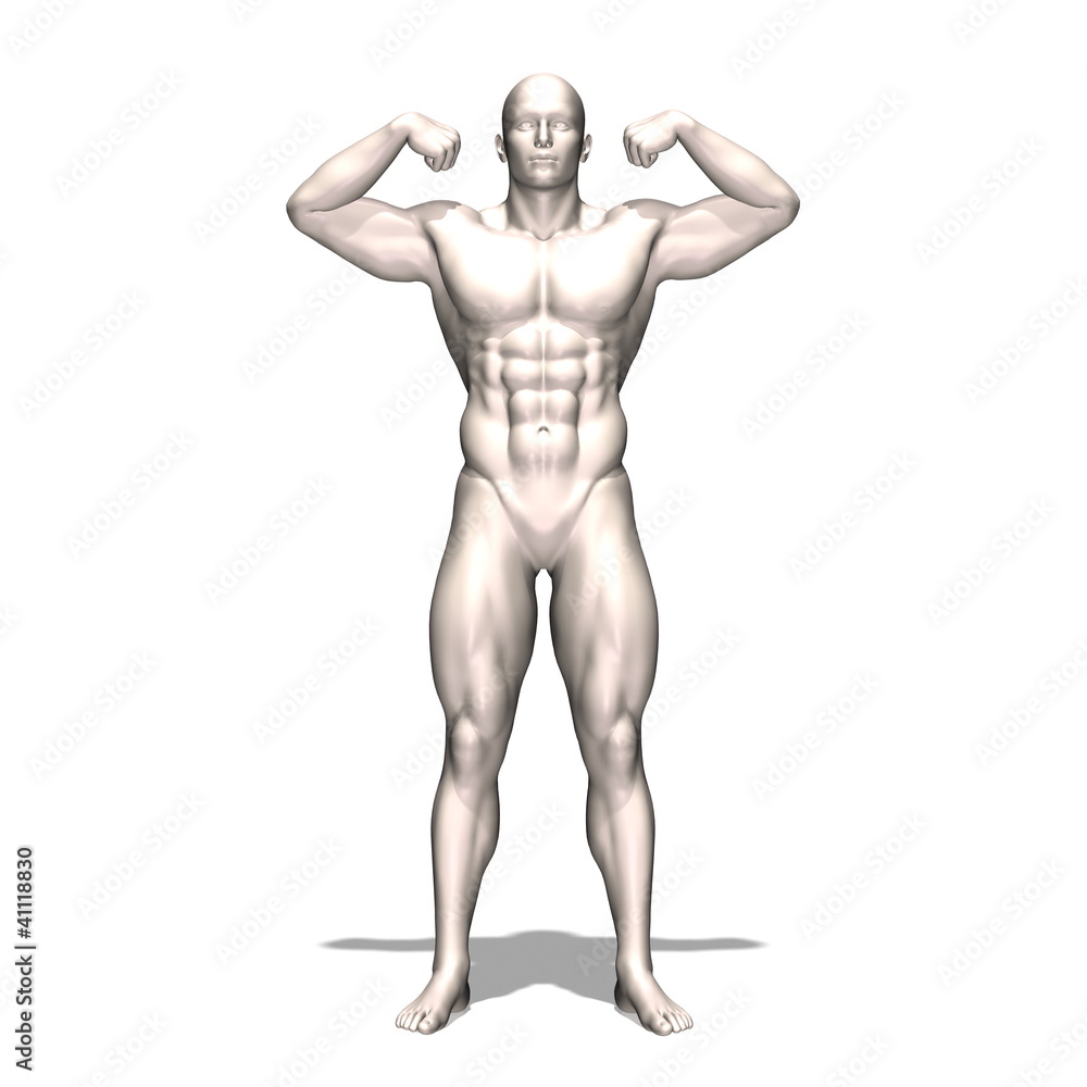 人体 人体