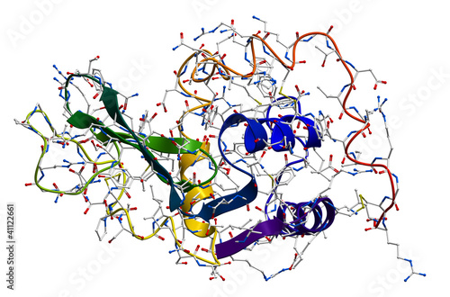 Lysozyme, the natural antibacterial enzyme