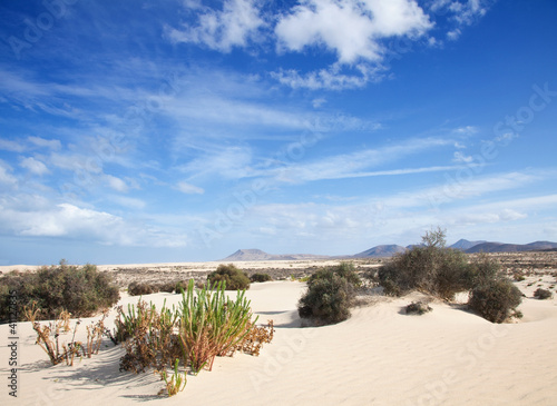 Fuerteventura  Corralejo sand dunes