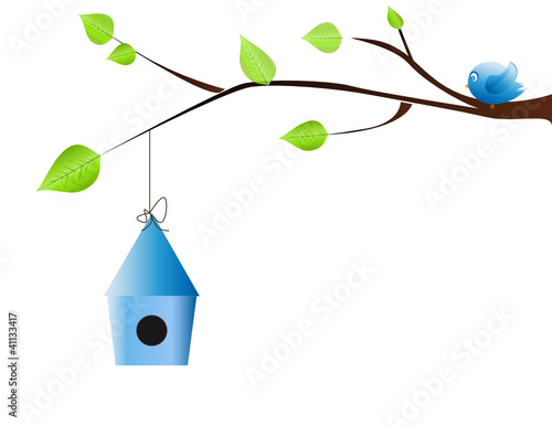 oiseau bleu