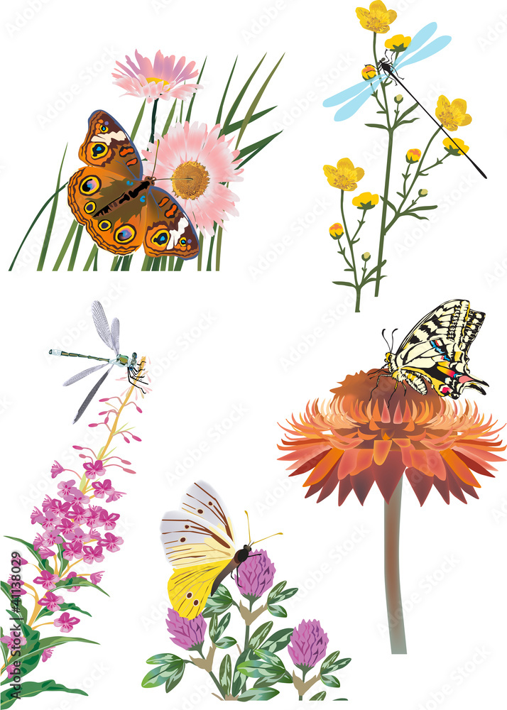collection of insects on flowers