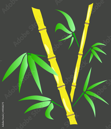 branches and leaves of bamboo
