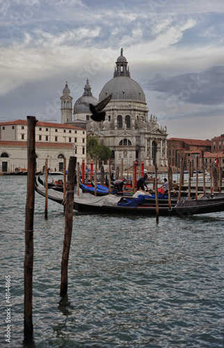 Fototapeta Naklejka Na Ścianę i Meble -  Santa Maria Della Salute in Venice, Italy